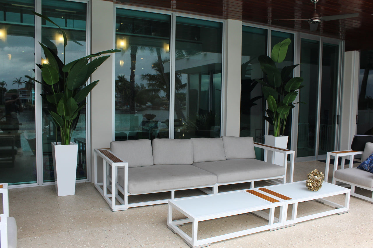 9 ft Bird of Paradise with Medium Beau Planter in Glossy White