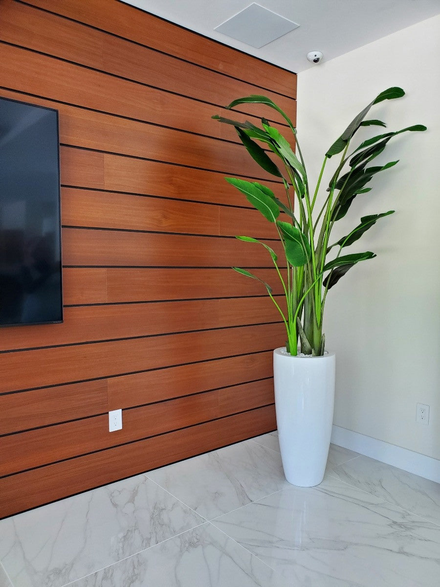 9 ft Bird of Paradise with XL Dax  Planter