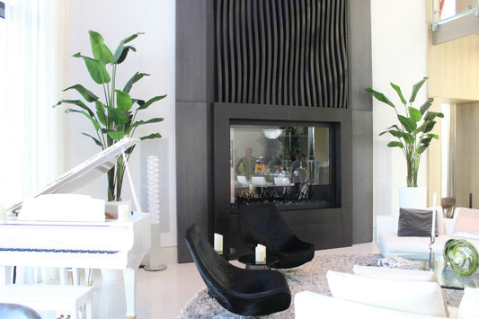 9 ft Bird of Paradise with XL Dax  Planter