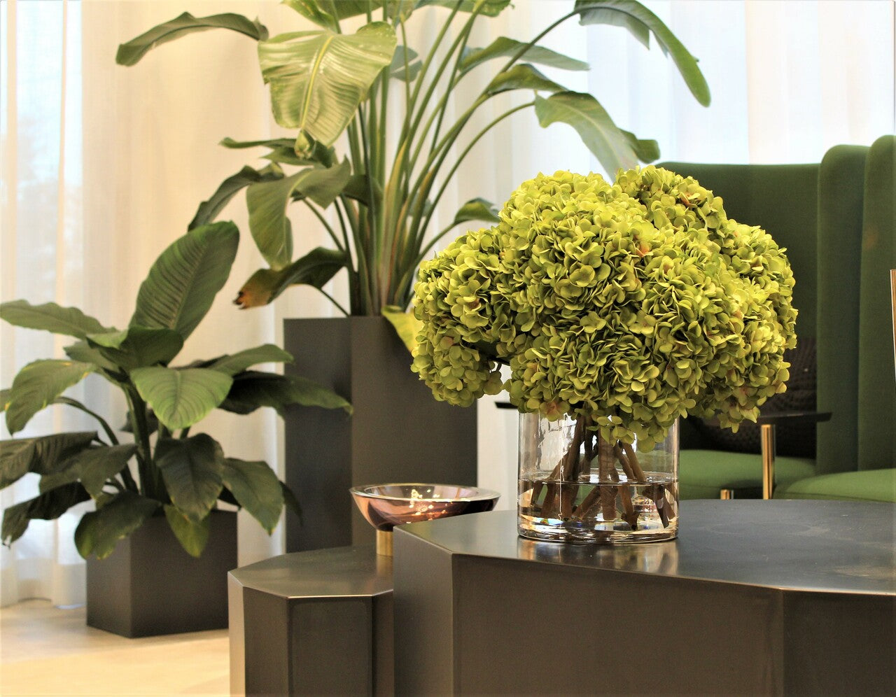 Bouquet d'hortensias verts dans un vase cylindrique en verre transparent