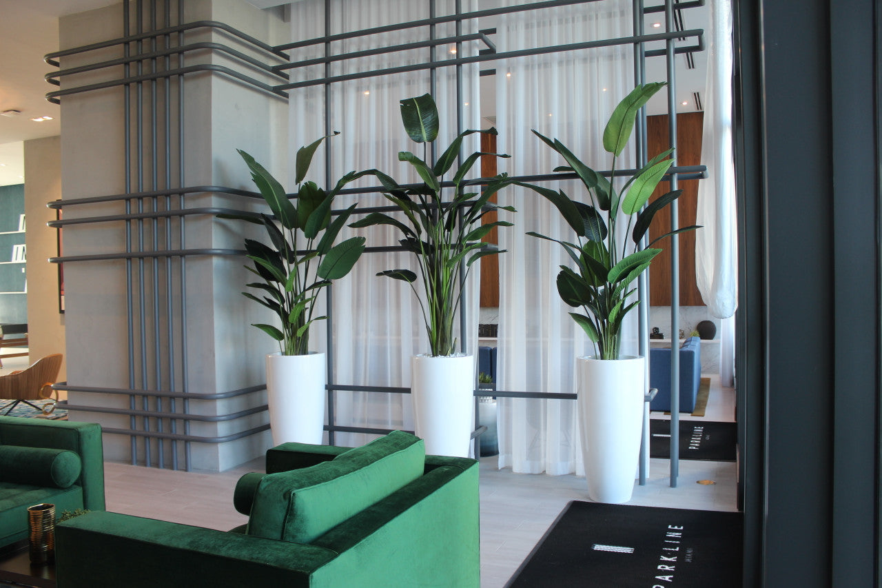 9 ft Bird of Paradise with XL Dax  Planter