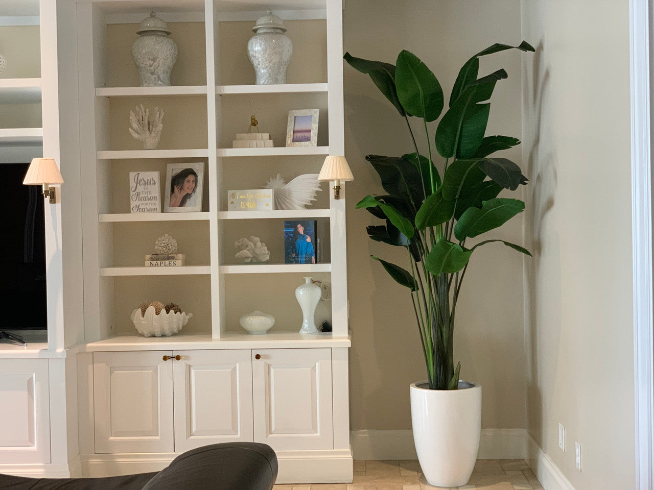 9 ft Bird of Paradise  with Ben Planter in Glossy White