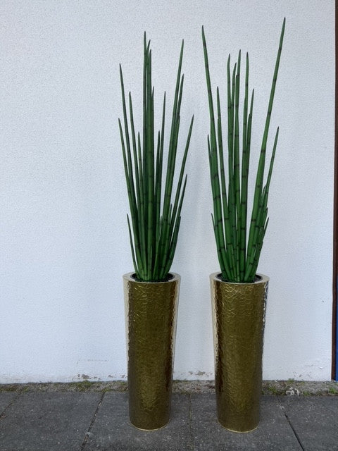 Gold Hammered Stainless Steel Tapered Cone with Large Snake Grass Plant