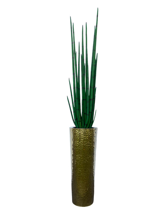 Hammered Stainless Steel Tapered Cone (28″) with Large Snake Grass Plant