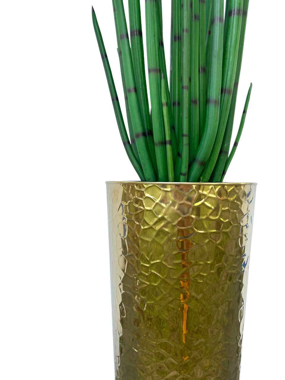 Gold Hammered Stainless Steel Tapered Cone with Large Snake Grass Plant