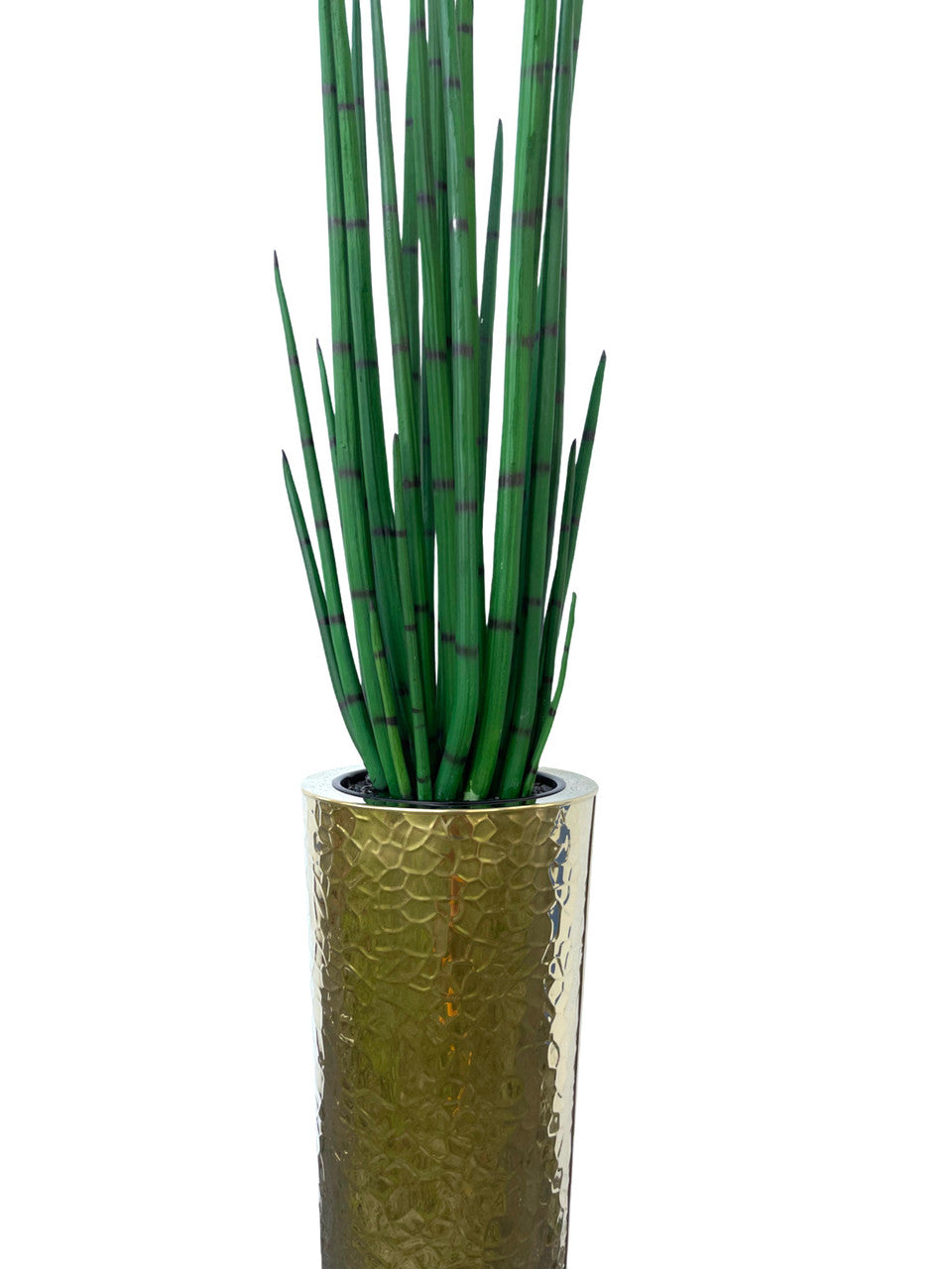 Gold Hammered Stainless Steel Tapered Cone with Large Snake Grass Plant