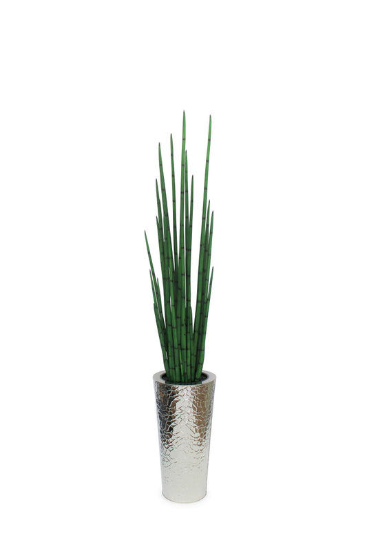 Silver Hammered Stainless Steel Tapered Cone with Large Snake Grass Plant(Out of Stock)