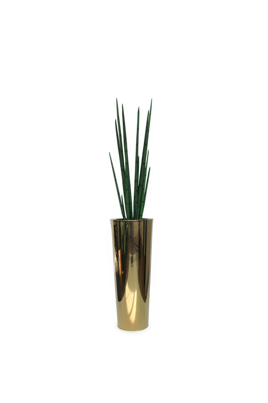 Pure Gold Stainless Steel Tapered Large Cone with Medium Snake Grass Plant