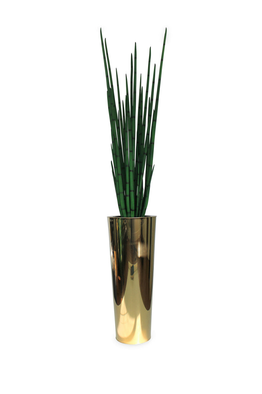 Cône large effilé en acier inoxydable or pur avec grande plante serpent (Sansevieria trifasciata) 1
