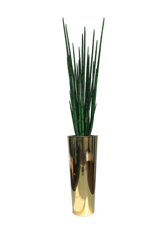 Pure Gold Stainless Steel Tapered Large Cone with Large Snake Grass Plant 1