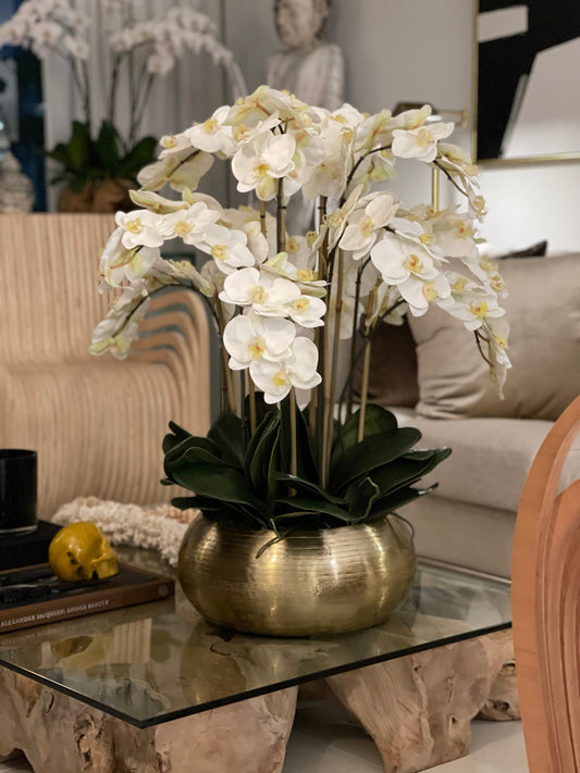 Orchidées Phalaenopsis Blanches Dans Une Coupe Bowie En Métal Doré