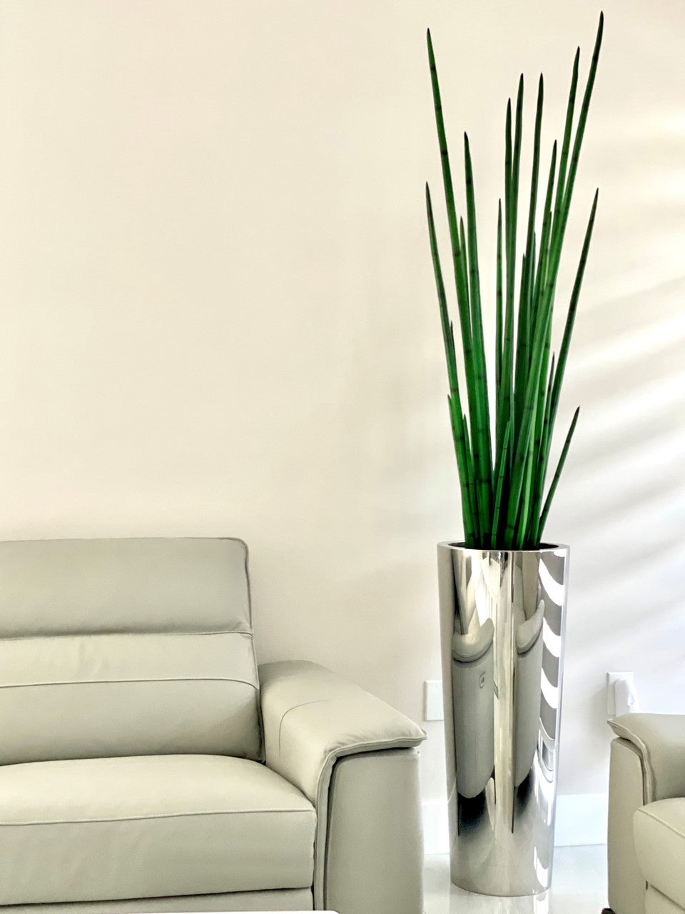 Grand cône en acier inoxydable poli avec grande plante d'herbe de serpent