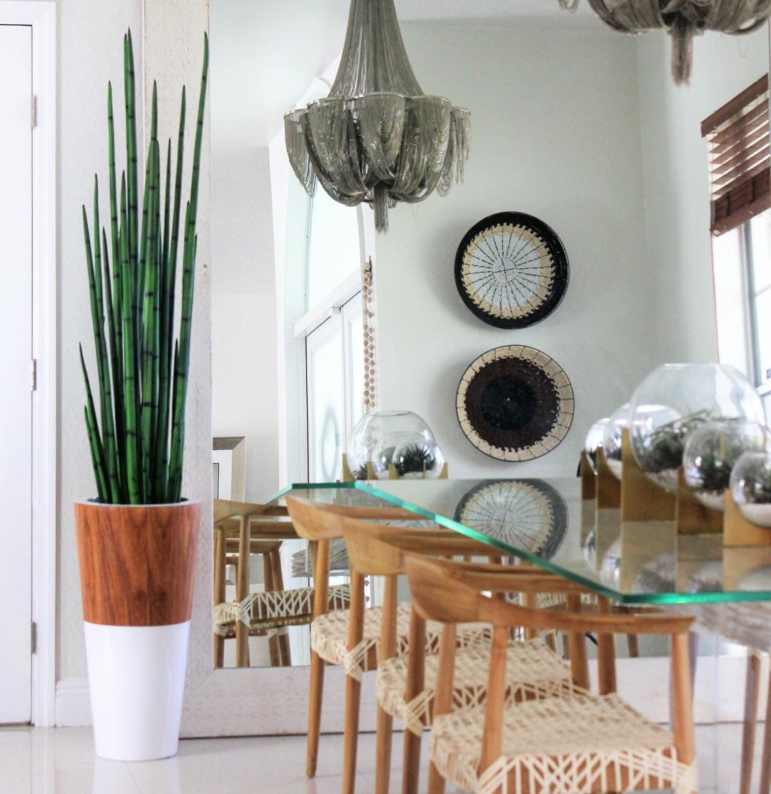 Snake grass (63″) with Lux planter in white