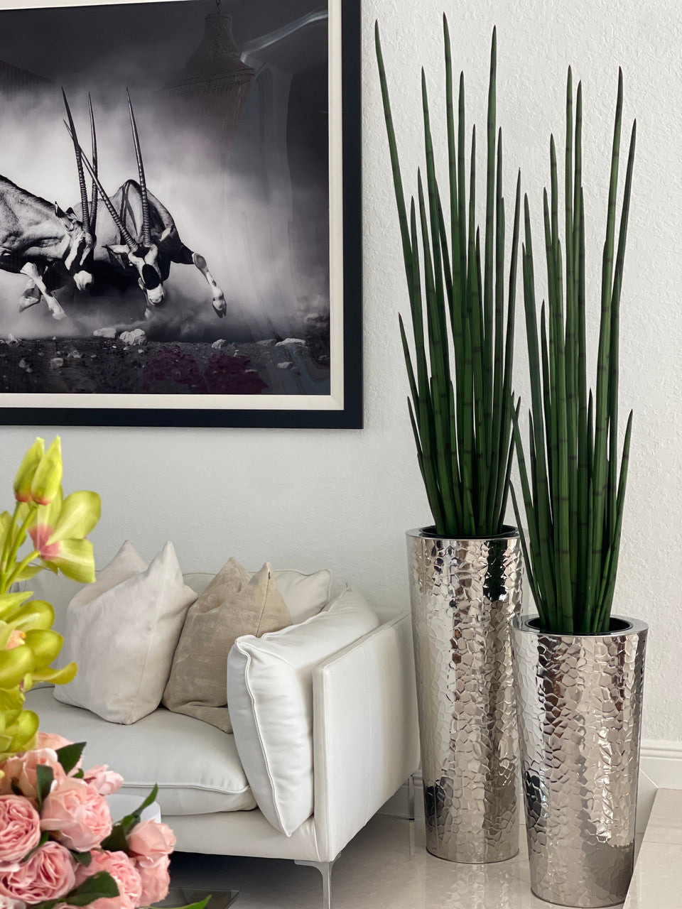 Silver Hammered Stainless Steel Tapered Cone with Large Snake Grass Plant(Out of Stock)