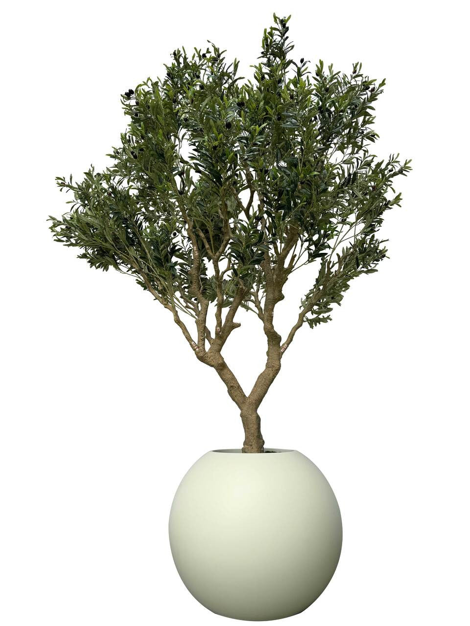 Olivier dans un pot boule mat beige de 30″