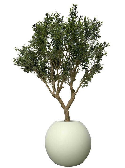 Olive Tree in Matte Beige 30″ Globe Planter