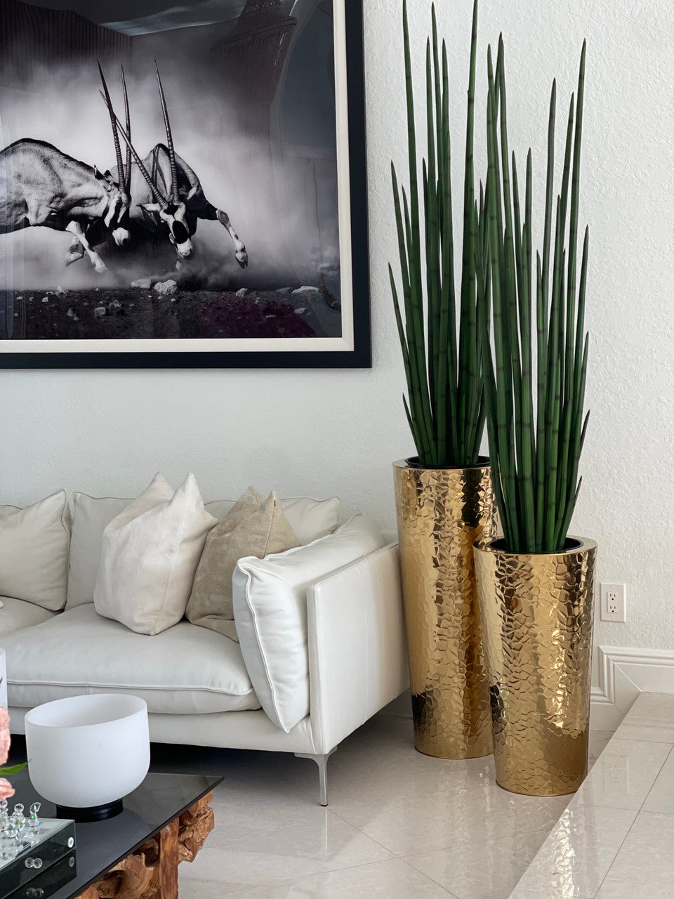 Hammered Stainless Steel Tapered Cone (28″) with Large Snake Grass Plant