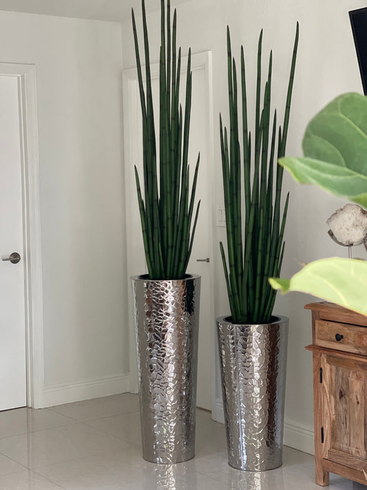 Silver Hammered Stainless Steel Tapered Cone with Large Snake Grass Plant(Out of Stock)