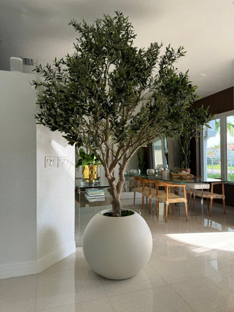 Olivier dans un pot boule mat beige de 30″