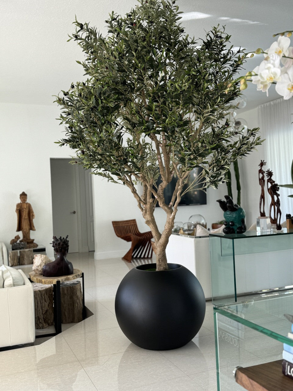 Olive Tree in Matte Black 30″ Globe Planter