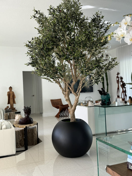 Olive Tree in Matte Black 30″ Globe Planter