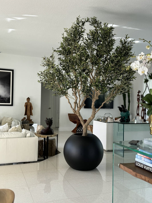 Olive Tree in Matte Black 30″ Globe Planter