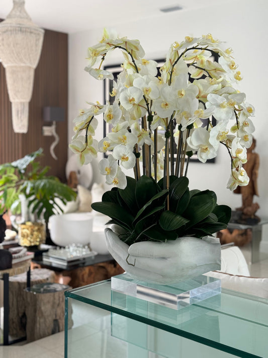 Orchidées Phalaenopsis blanches dans un vase sculpture mains ouvertes blanc