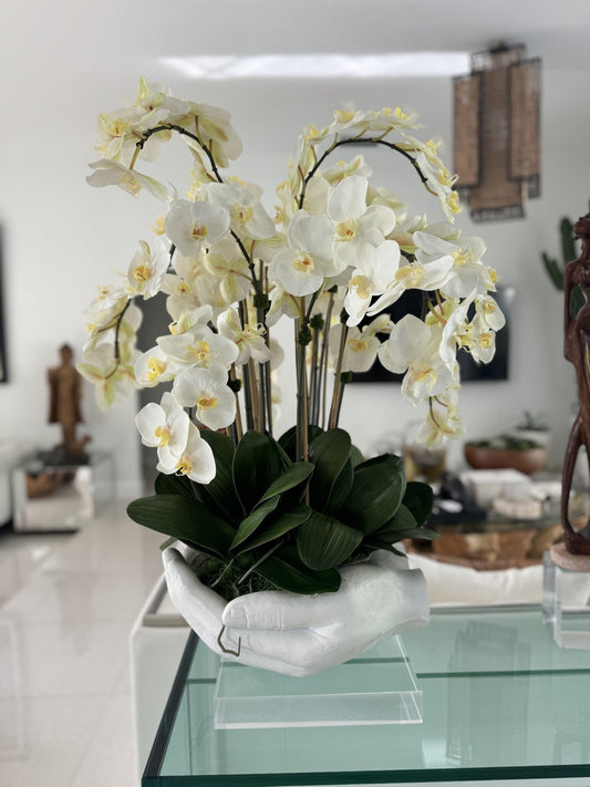 Orchidées Phalaenopsis blanches dans un vase sculpture mains ouvertes blanc