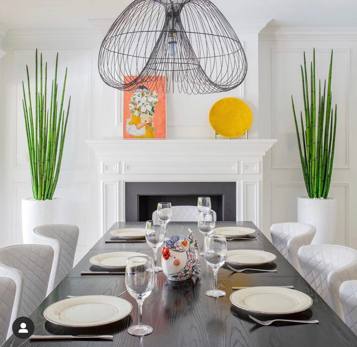Snake grass (63″) with Dax L planter in glossy white