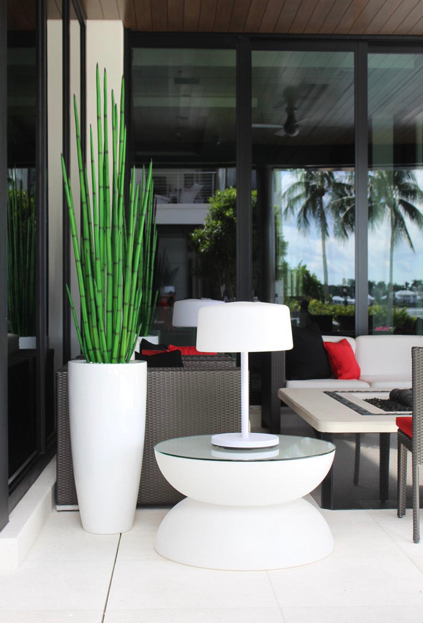 Snake grass (63″) with Dax L planter in glossy white