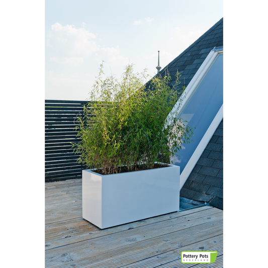 Jort M Fiberglass Glossy White