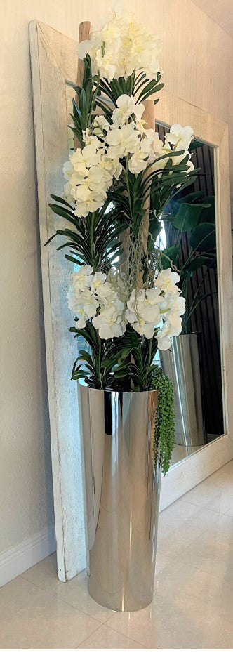 White Vandas in Stainless Steel Cone Planter