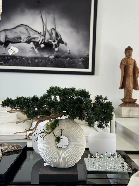 Medium Eternity Vase with Trailing Bonsai Tree and Driftwood