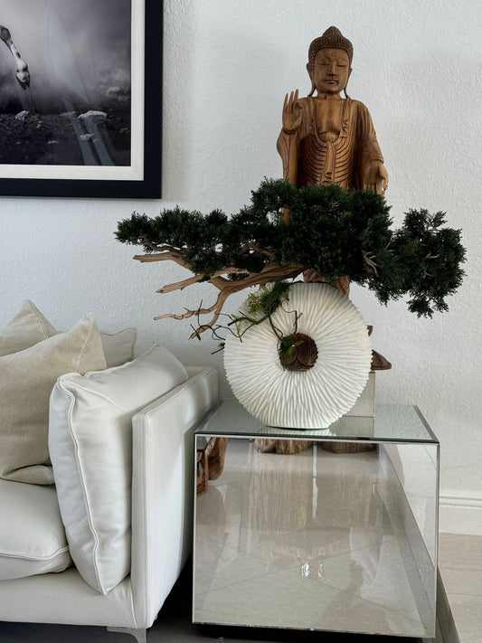 Medium Eternity Vase with Trailing Bonsai Tree and Driftwood