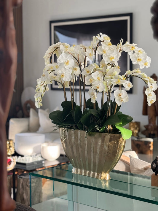 Vivien Gold Vase with White Phaleanopsis Orchids
