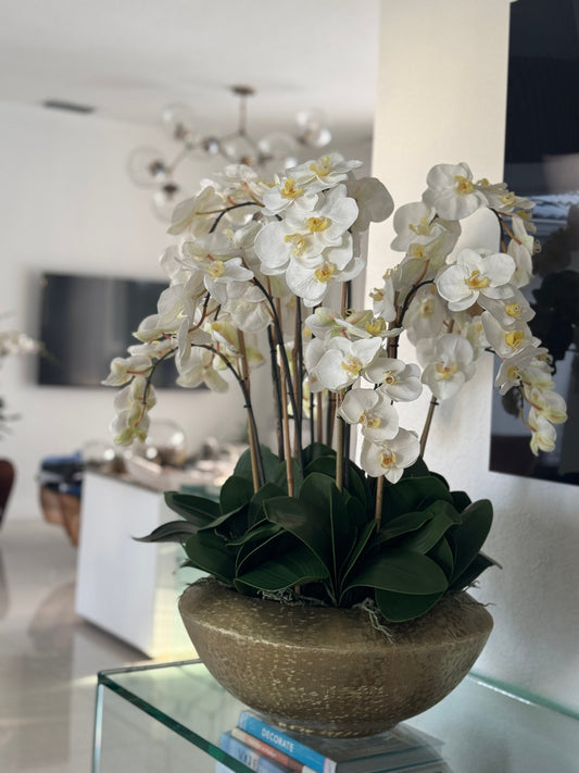 Blaze Bowl with White Phaleanopsis Orchids