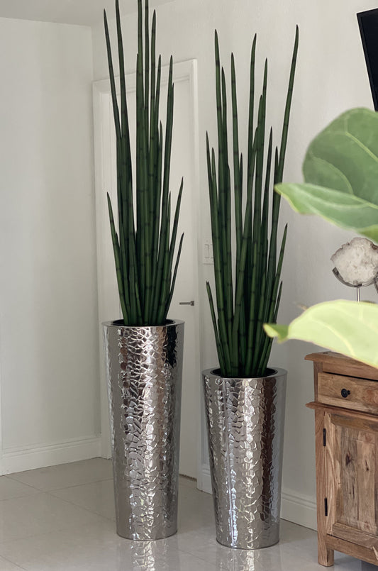 Silver Hammered Stainless Steel Tapered Cone with Medium Snake Grass Plant