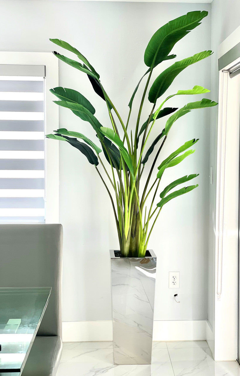 Medium Stainless Steel Cube Planter with Bird of Paradise (7′)