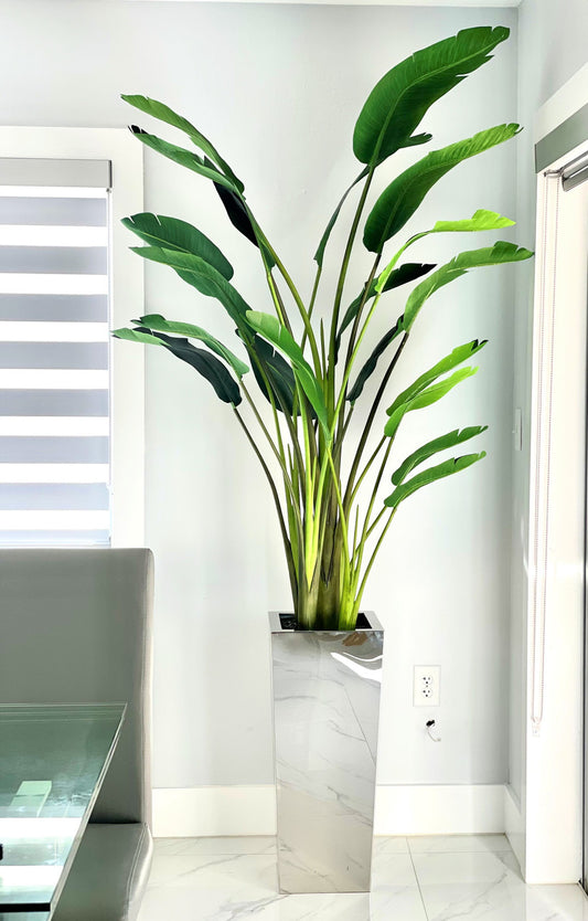 Medium Stainless Steel Cube Planter with Bird of Paradise (7′)