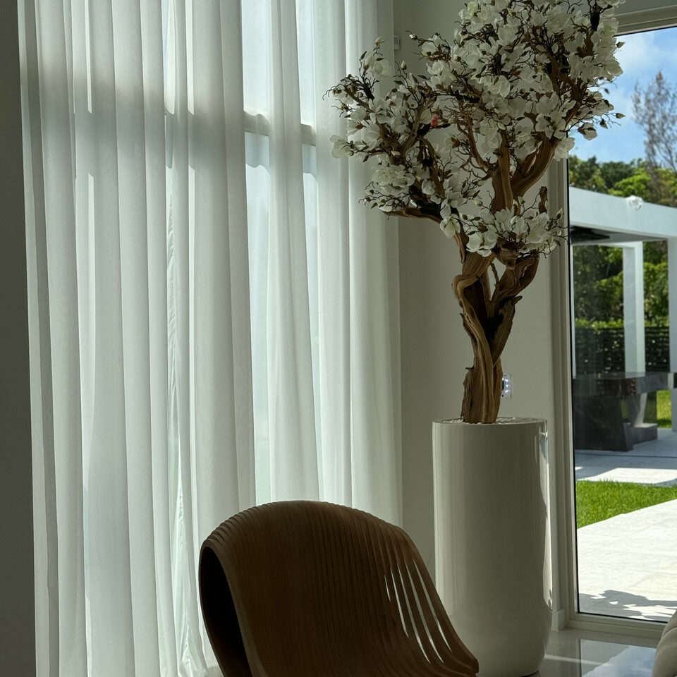 Most popular 10ft white magnolia tree in glossy beige st tropez planter