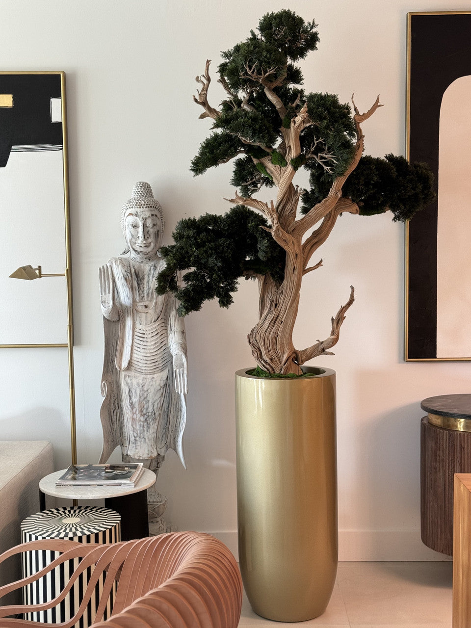 Bonsai in Saint Tropez Planter