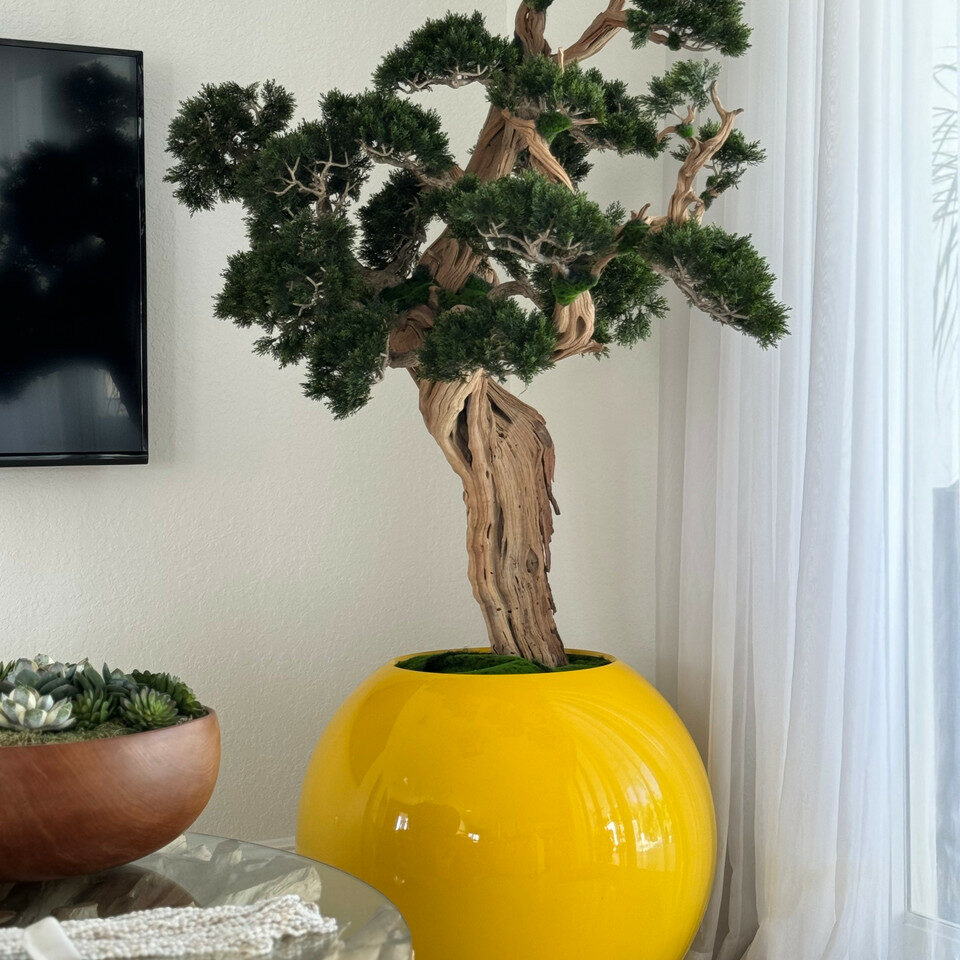 Trees and plants trailing bonsai in saffron yellow globe