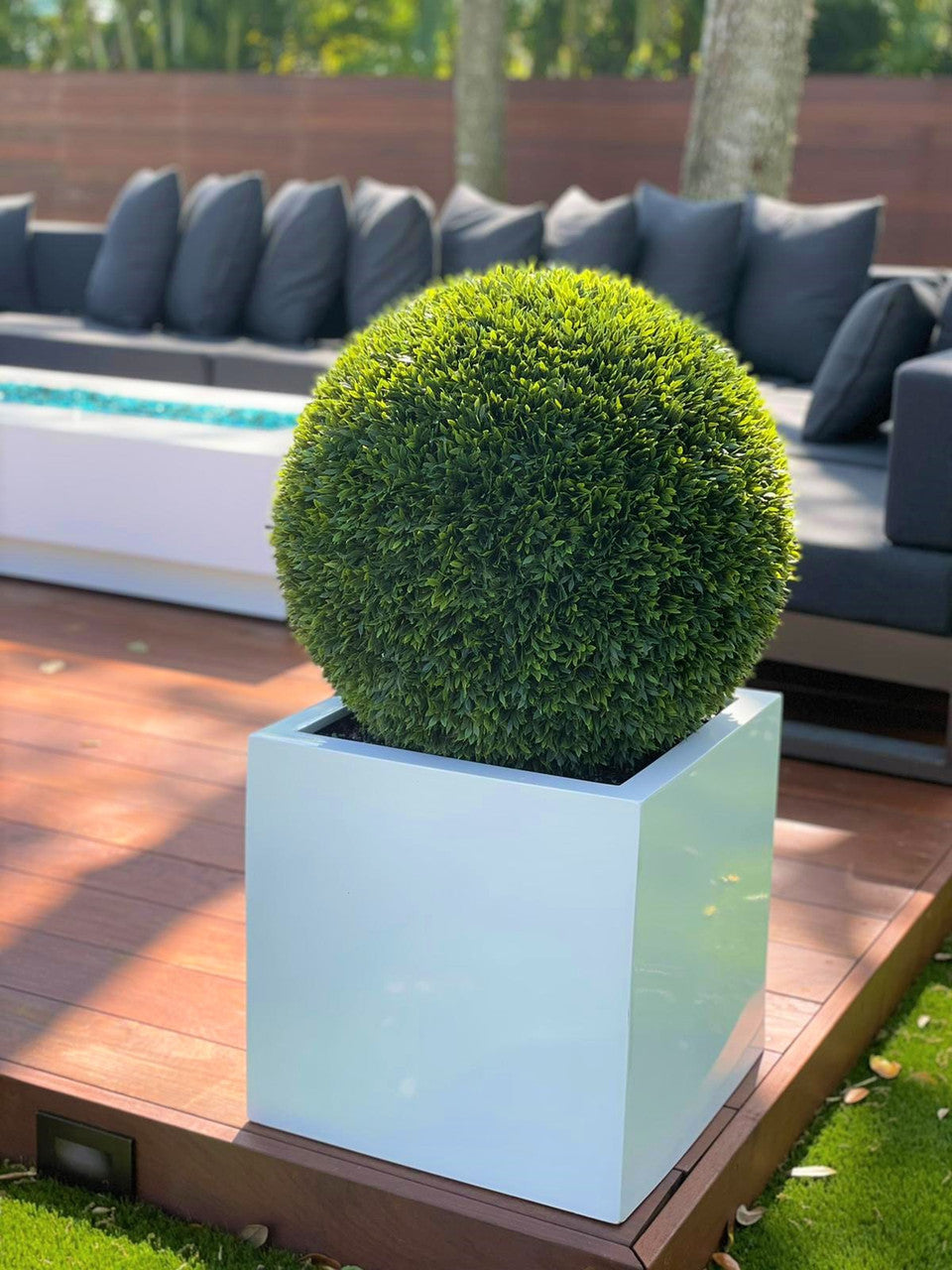 Medium Block Fiberglass Planter with 20″ Topiary