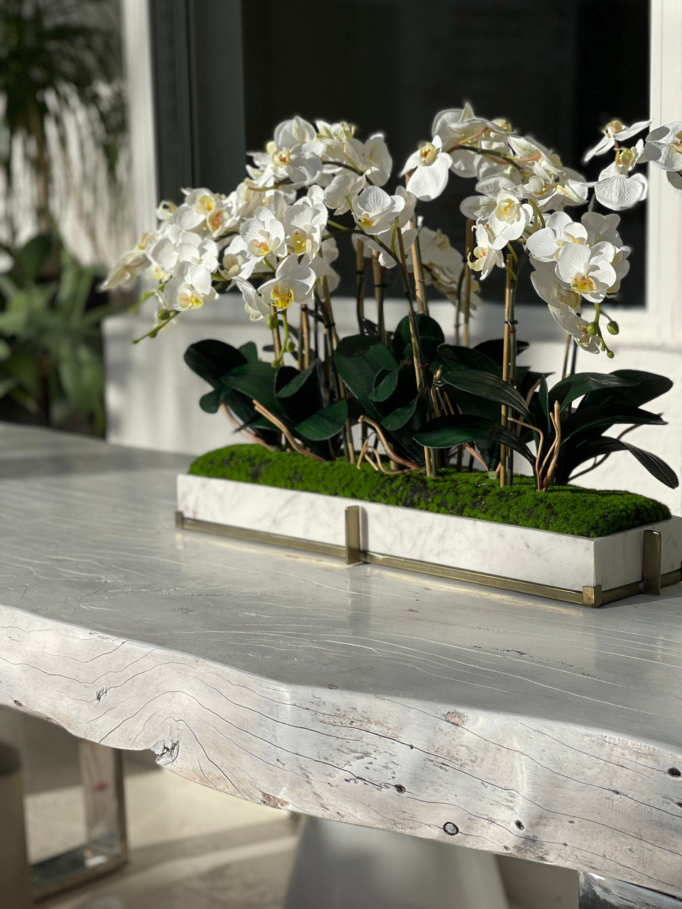 Plateau en marbre sur support métallique avec jardinet d'orchidées mini-phalaenopsis