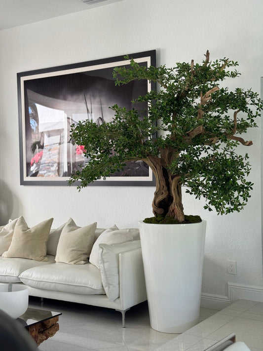 Artificial Black Olive Bonsai Tree in Glossy White Belle Planter