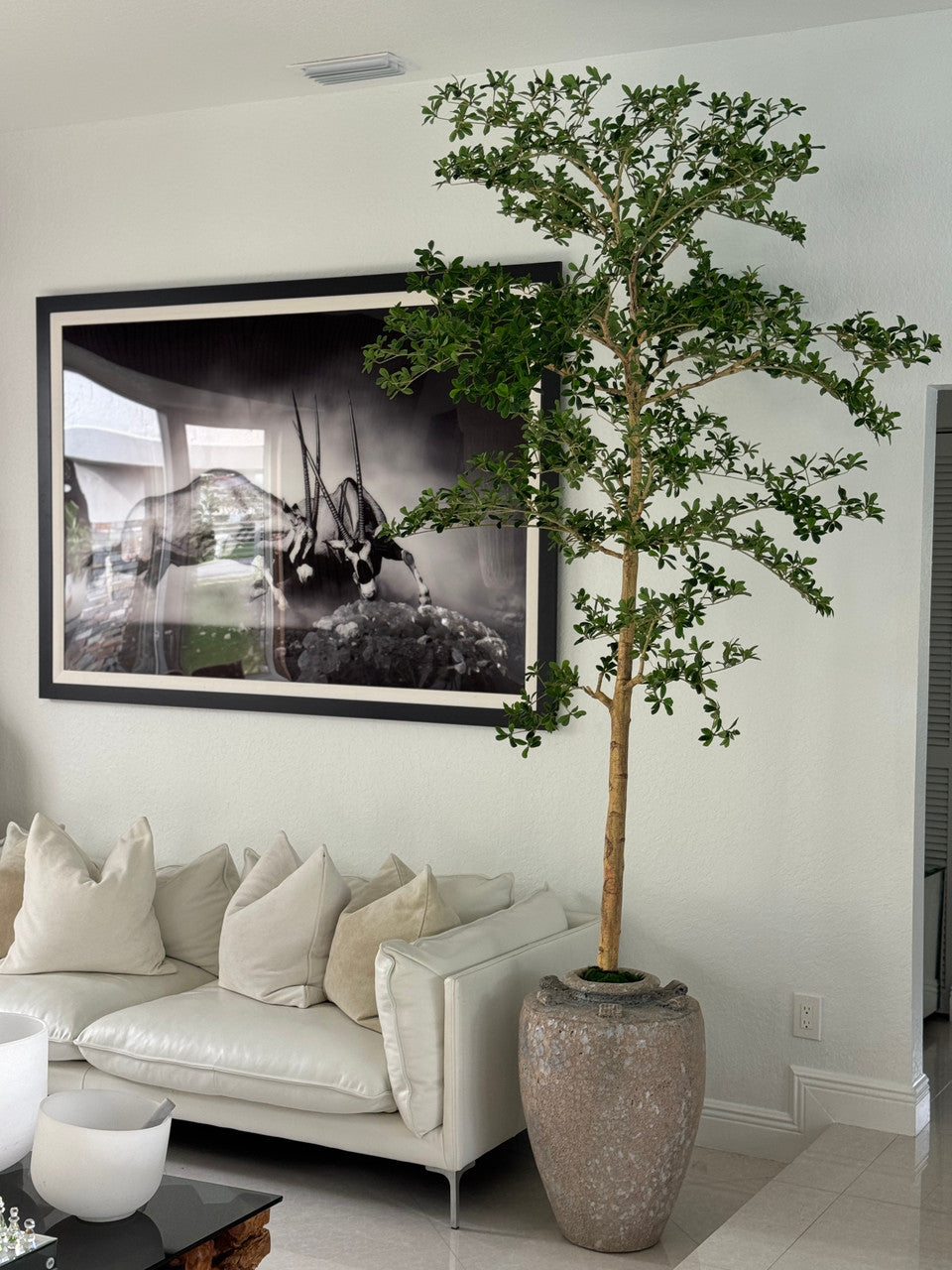 Parthenon Planter with 9′ Shady Lady Tree