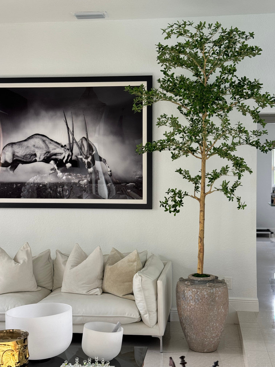 Parthenon Planter with 9′ Shady Lady Tree