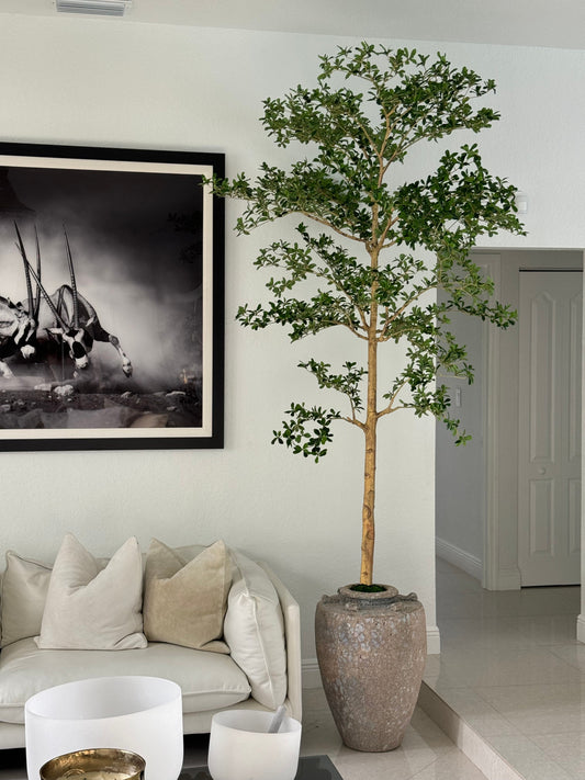 Parthenon Planter with 9′ Shady Lady Tree