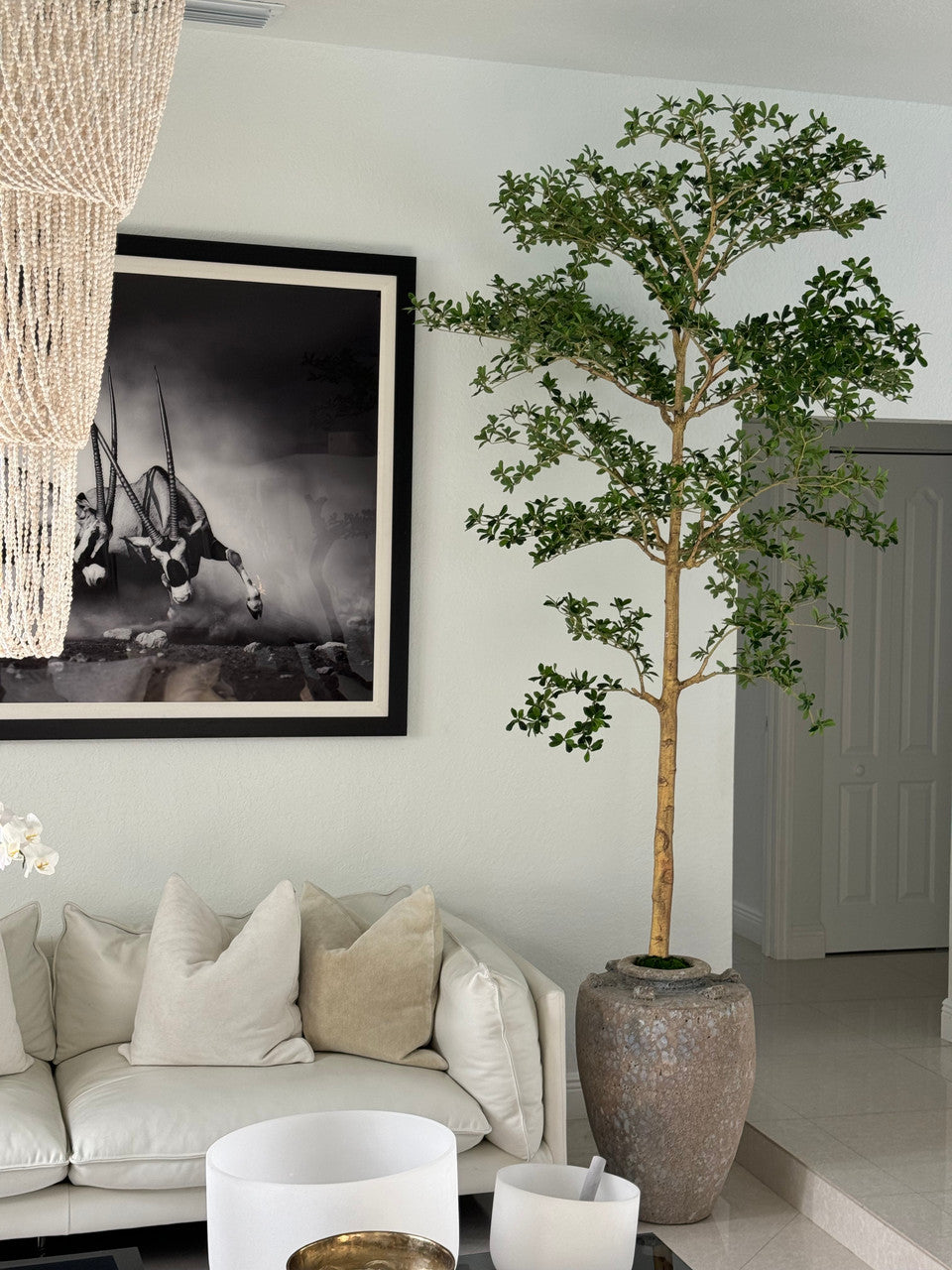 Parthenon Planter with 9′ Shady Lady Tree