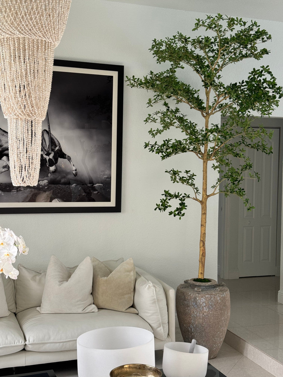 Parthenon Planter with 9′ Shady Lady Tree